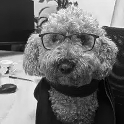 Meet Our Team - Bear